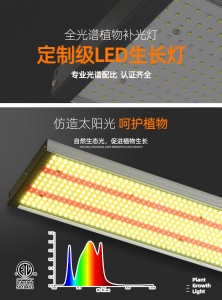 陽(yáng)光系列全系列中文詳情頁(yè)_01