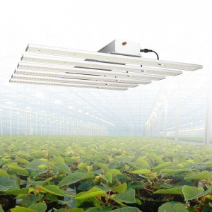 八爪魚植物燈