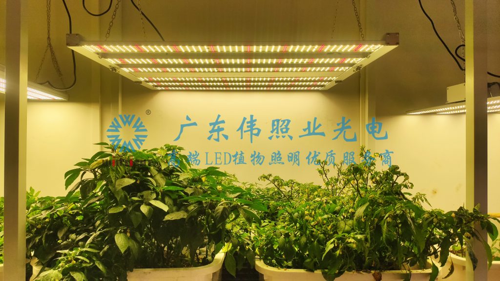 LED植物生長燈